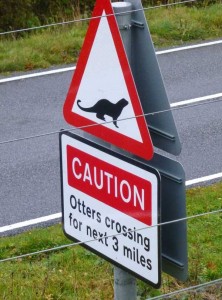 otter_crossing_sign