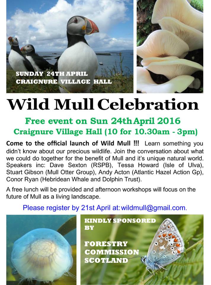 Wild Mull launch event poster